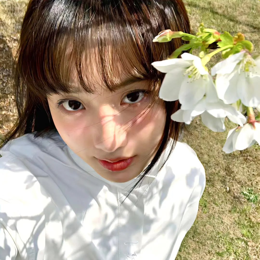 麻花局中局